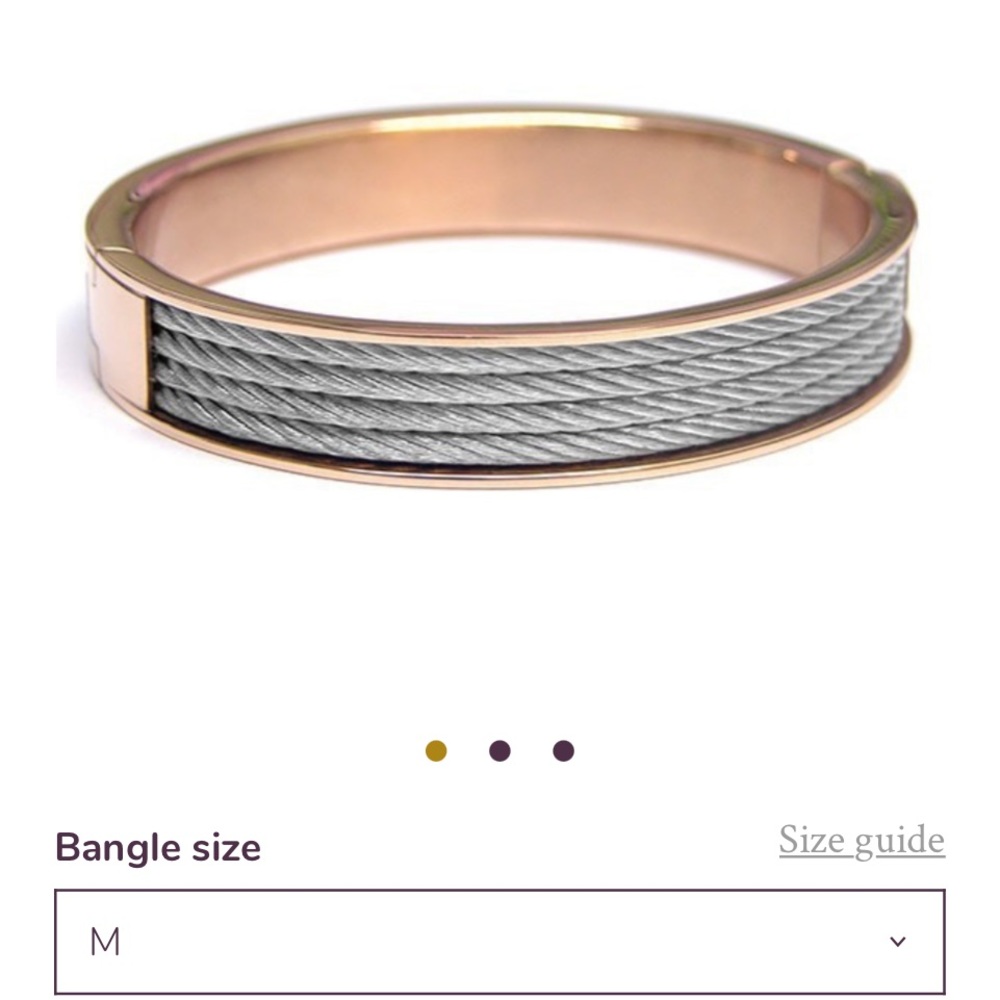 Charriol forever two tone band